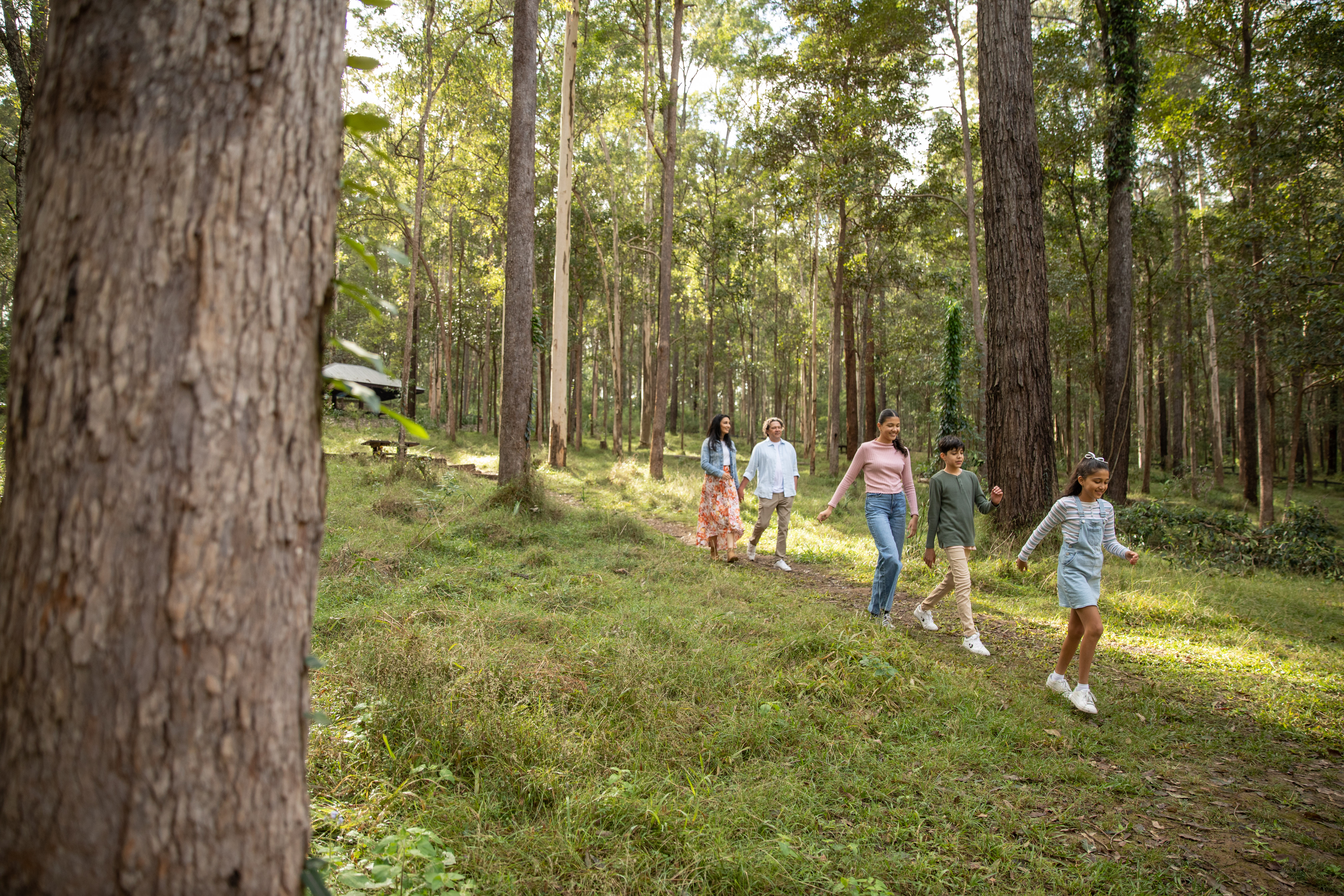 a family hiking at a conservation park