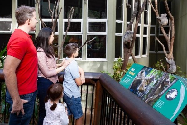 Image_Family visiting Daisy Hill Koala Conservation Centre
